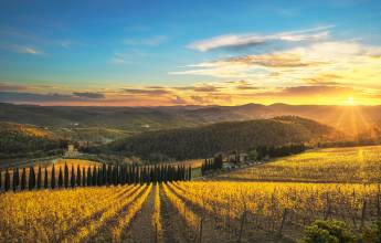 Tuscany Walks & Chianti Wines