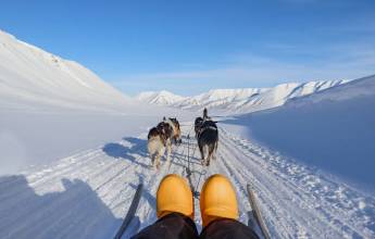 Svalbard Arctic Adventure – Sunny Winter