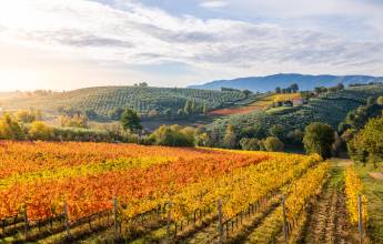 Walking in Rome, Assisi and Umbria – Premium Adventure