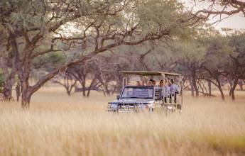 Discover Namibia In Style