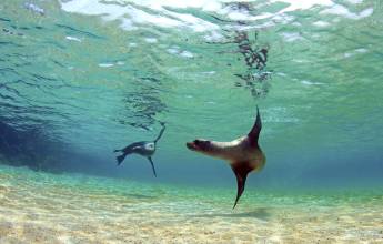 Machu Picchu & Galapagos