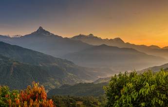 Annapurna to Chitwan: Walks & Wildlife