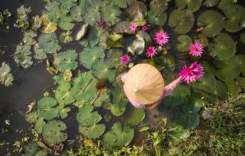 Best of Vietnam – Premium Family Adventure