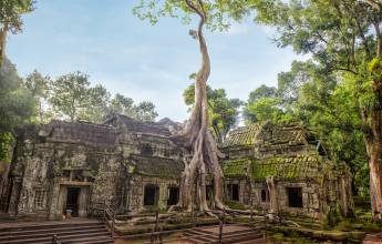 Angkor Ta Prohm Temple