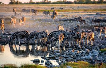 Namibian Family Adventurer