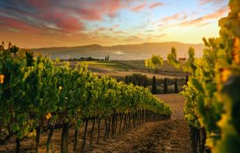 Discover Tuscany: Culture, Food & Wine