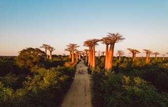 Madagascar Wildlife Adventure