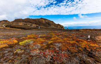 Galapagos Walking Adventure