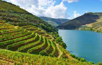 Cycling in the Douro Valley
