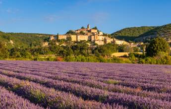 Discover Provence