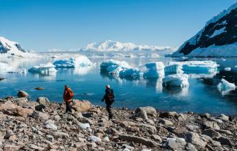 Antarctic Express: Fly South, Sail North via Buenos Aires