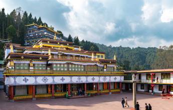 Trek Darjeeling, Sikkim & the Singalila Ridge