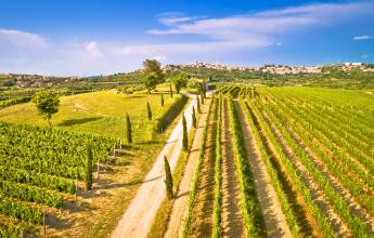 Cycling Croatia’s Istrian Peninsula