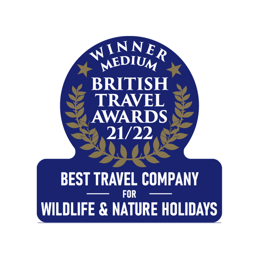 Award-Winning Adventures