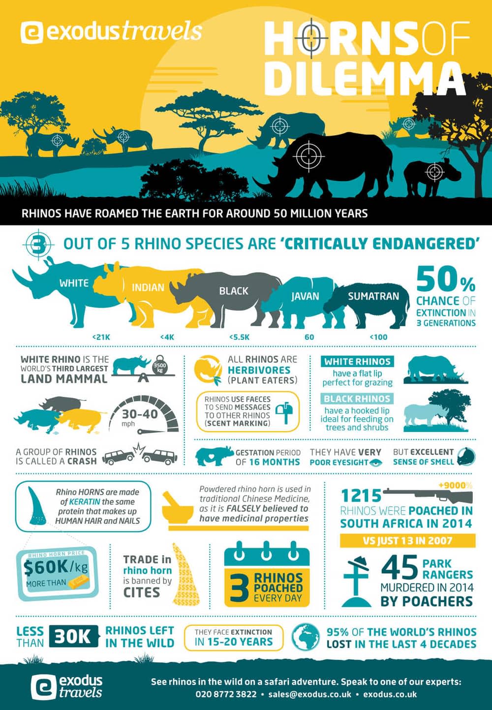 Rhino infographic