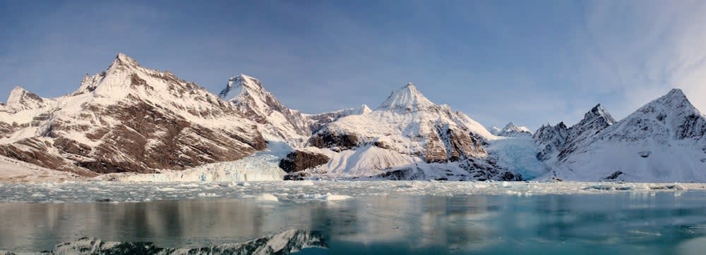 A year on South Georgia13