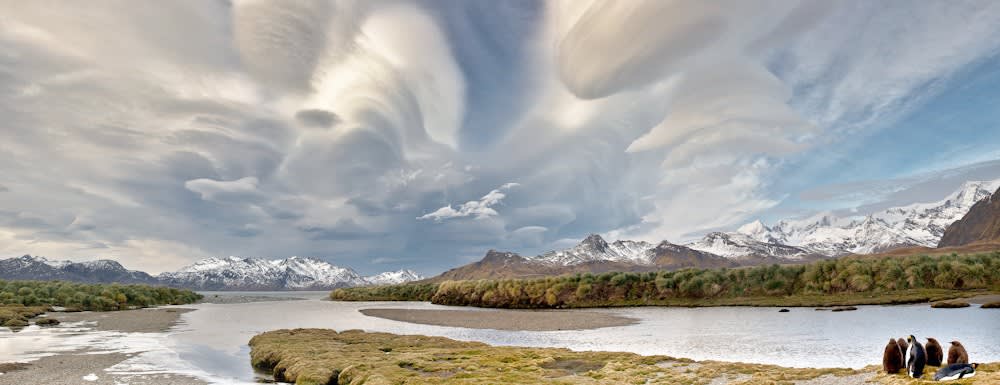 A year on South Georgia12