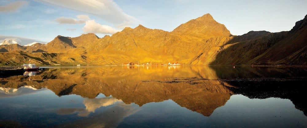 Grytviken on a summer morning