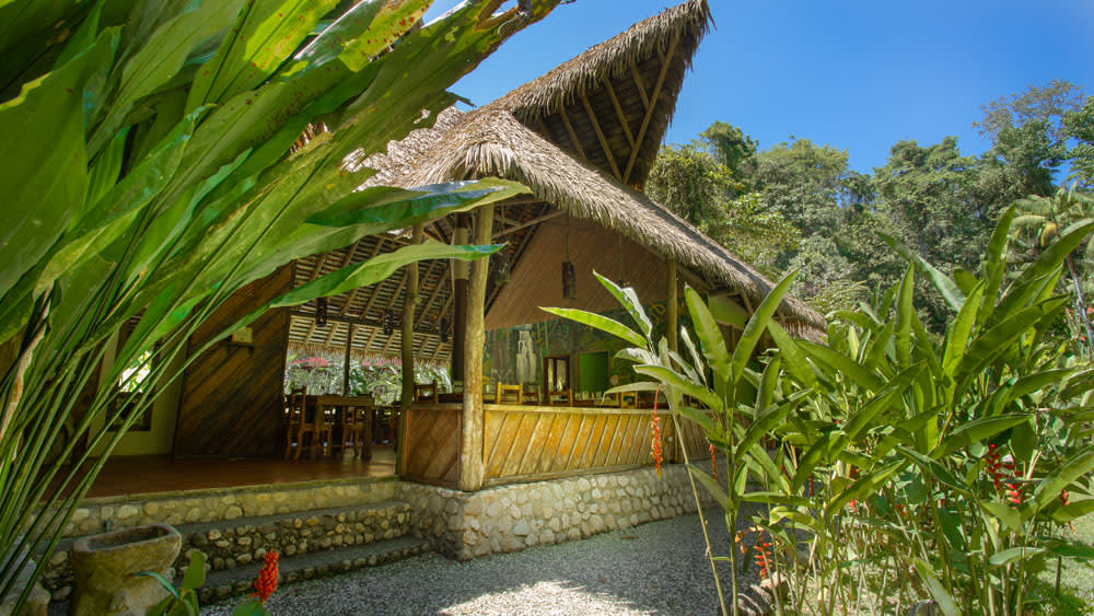 The Lodge That Saved A Rainforest