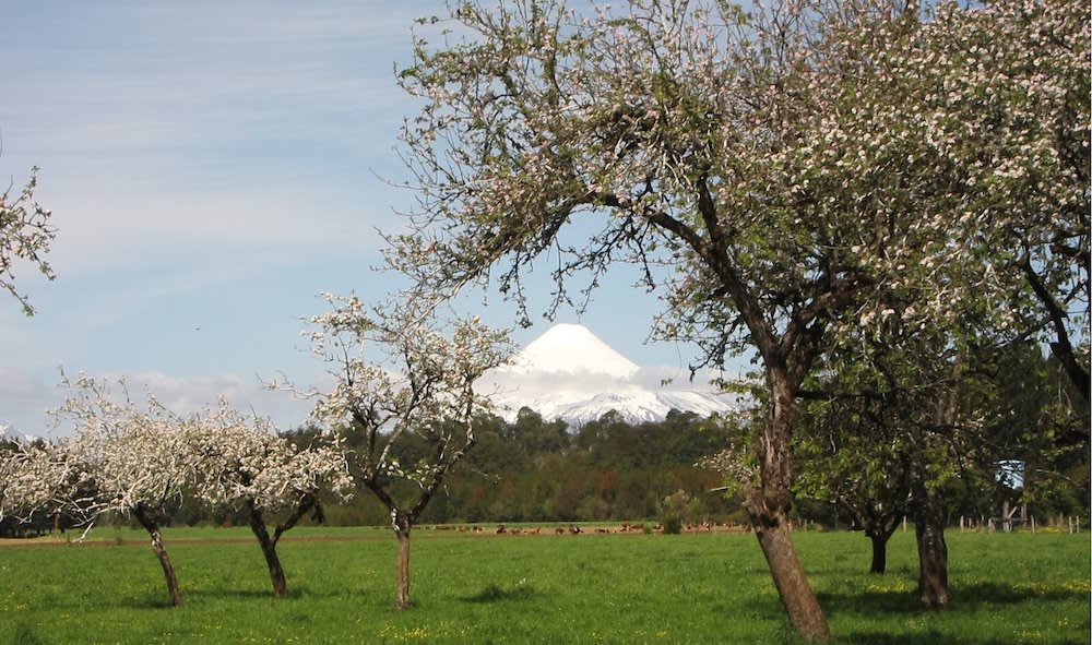 Osorno volcano