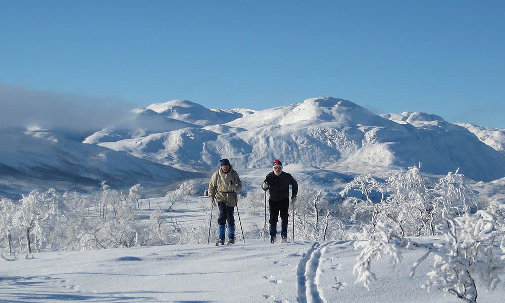 Skiing in Mosstrond, Norway