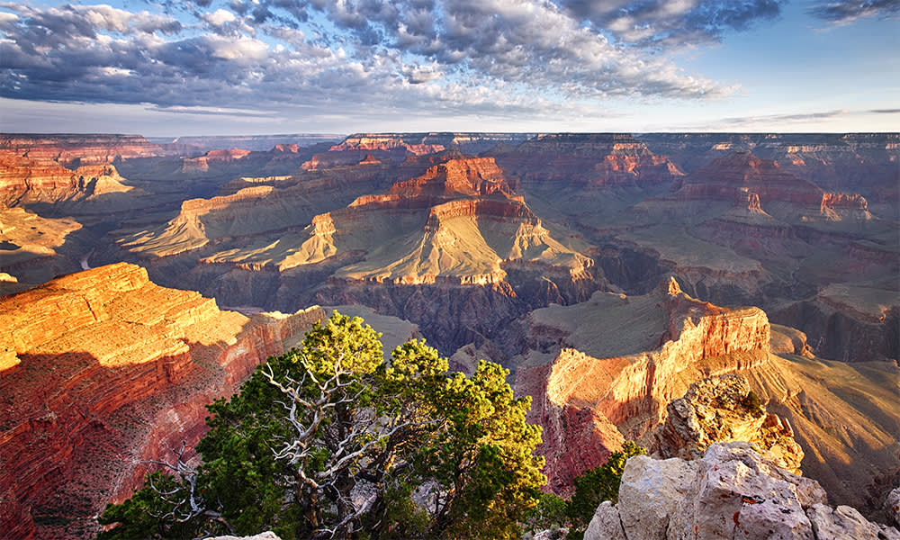 The Grand Canyon USA