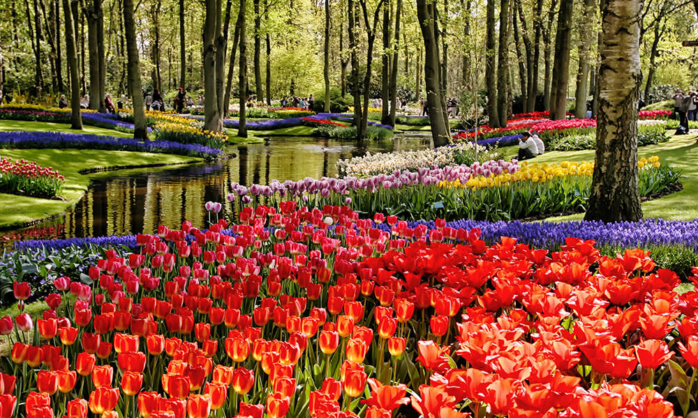 Keukenhof Gardens