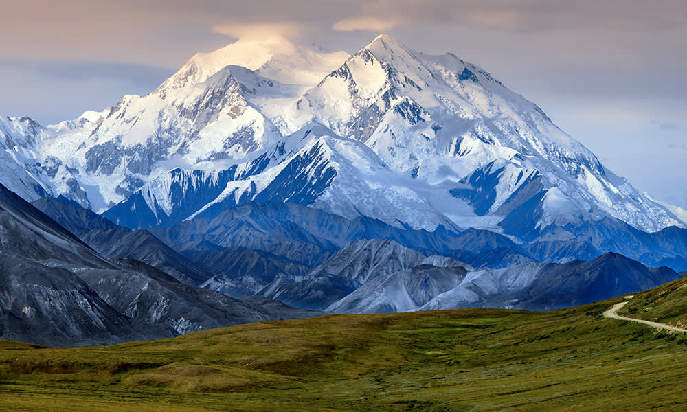 Mt. Denali