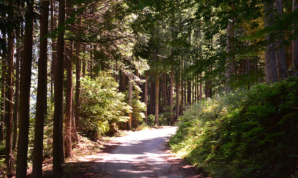 Kumano Kodo Path, Japan