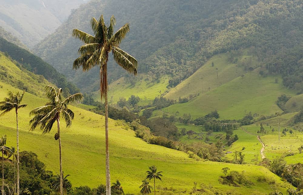 Coffee region of Colombia