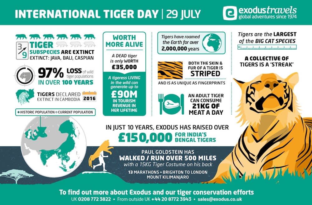 International Tiger Day Infographic