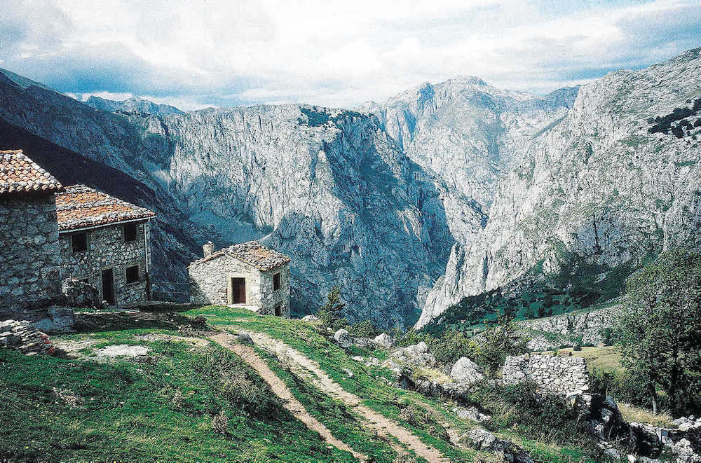 Picos de Europa