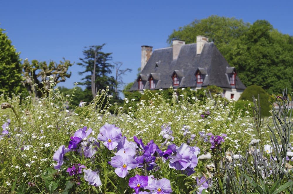 Flowers in the Loire Valley