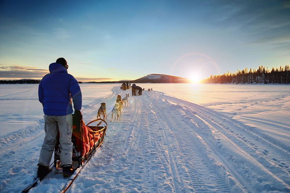 Dogsledding adventure