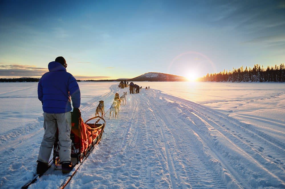 Mirror, Signal, “Mush – Arctic Dogsledding