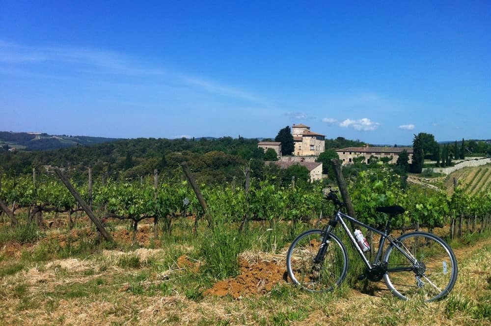 tuscan vineyard