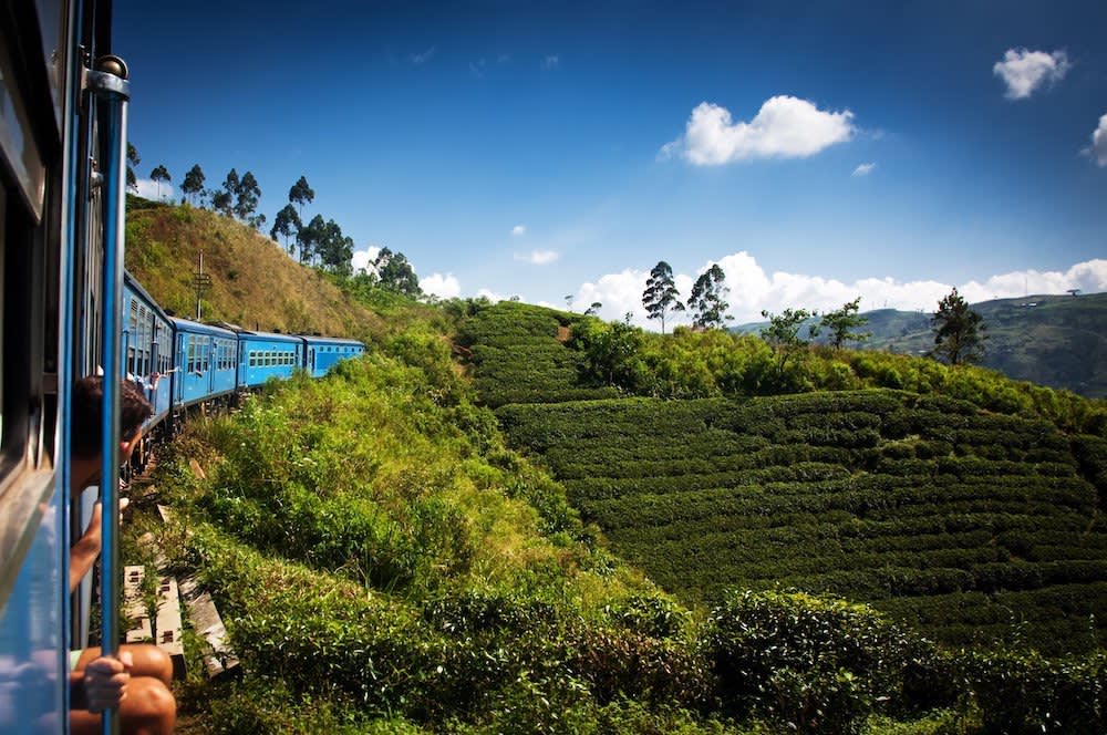 Train to Bandarawela