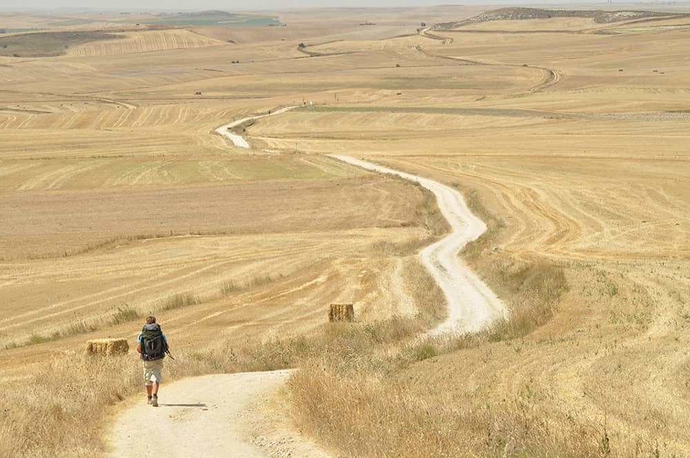 camino de santiago