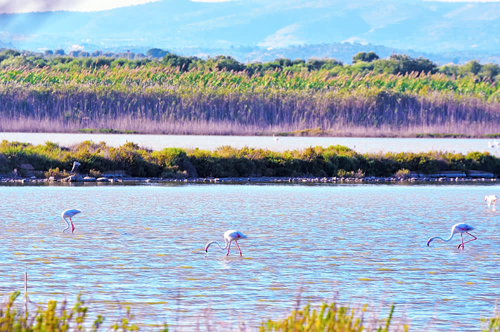 Vendicari Nature Reserve, Italy