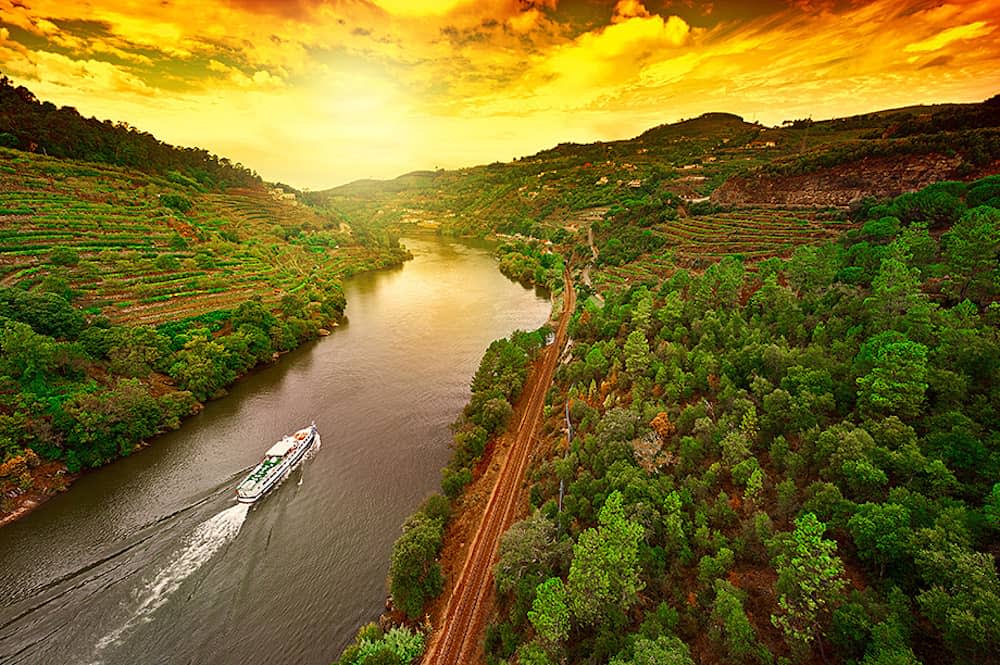 Vineyards in the Valley of the River Douro, Portugal