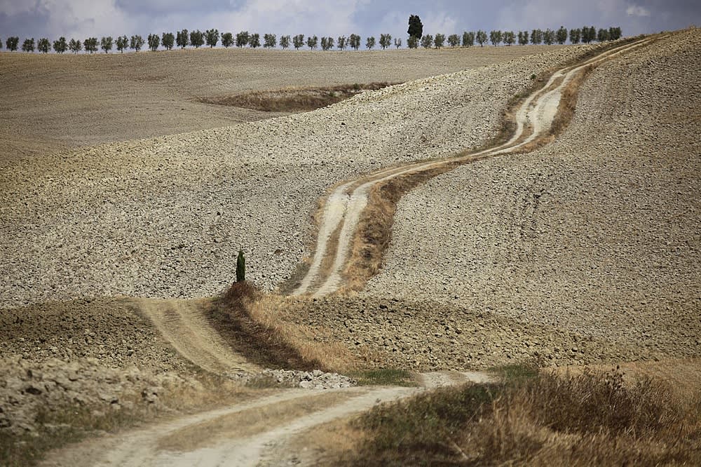 Italy's Francigena Way