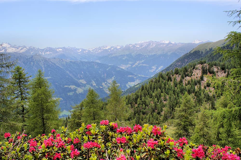 Austrian mountain scenery