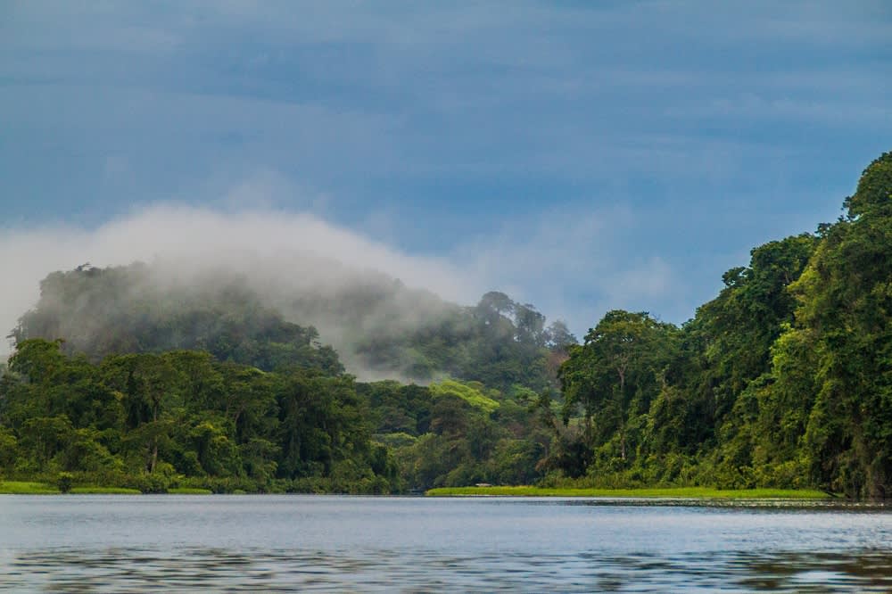 Dimmig morgon i Tortuguero Dimmig morgon i Tortuguero