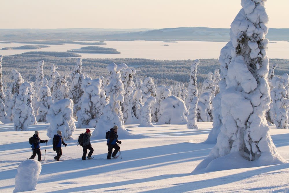 winter in finland