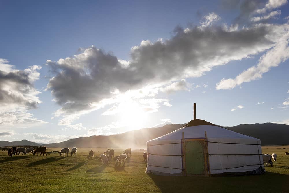 ger in mongolia