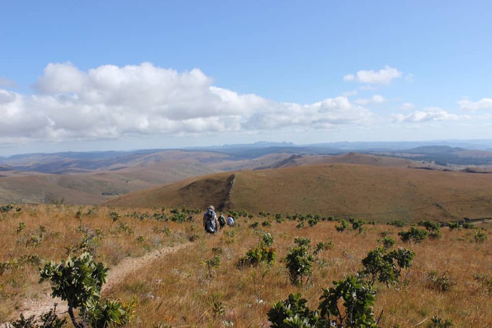 Zimbabwe landscape