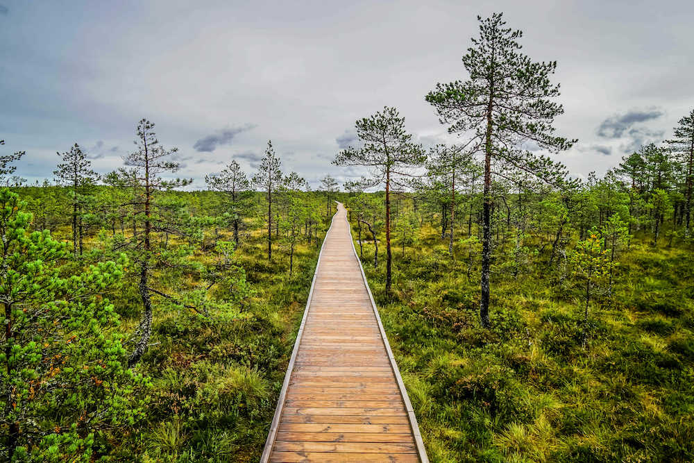 Lehamaa National Park