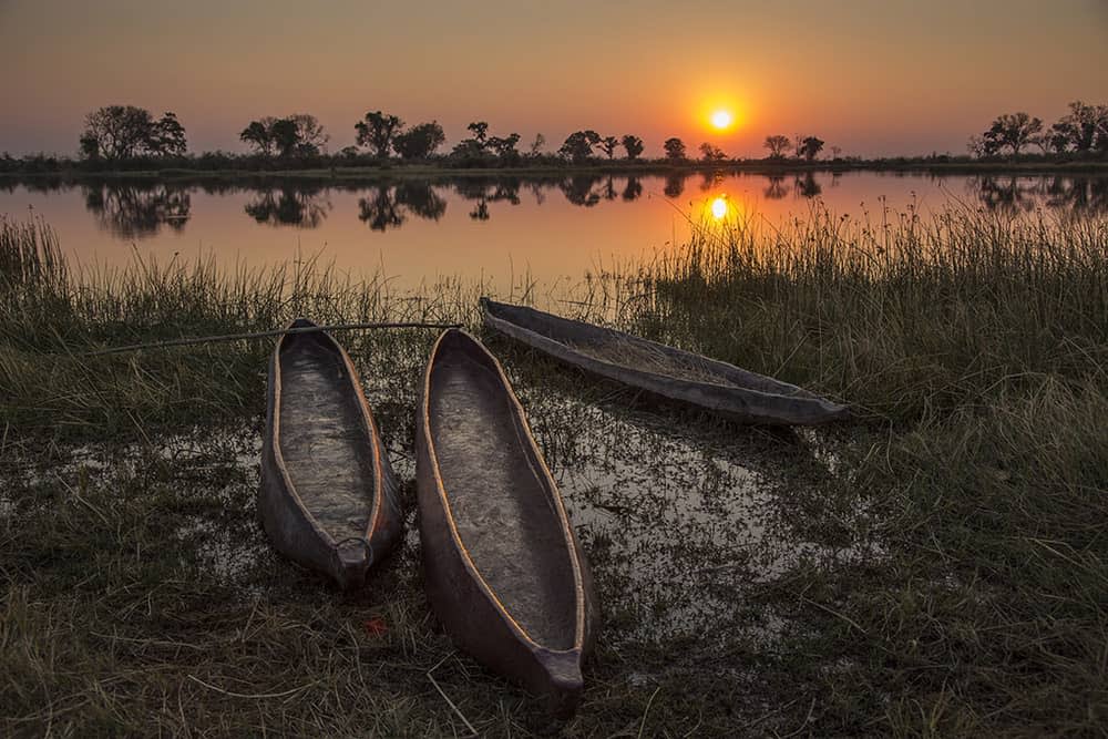 March's winning image by Peter Anderson in Botswana