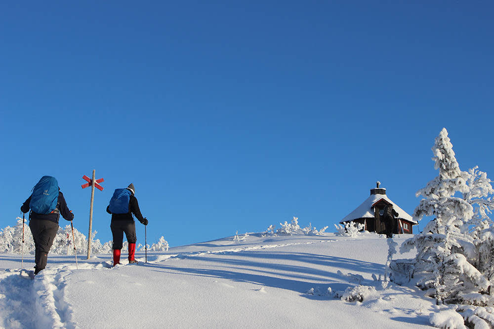 Cross country skiing in Sweden