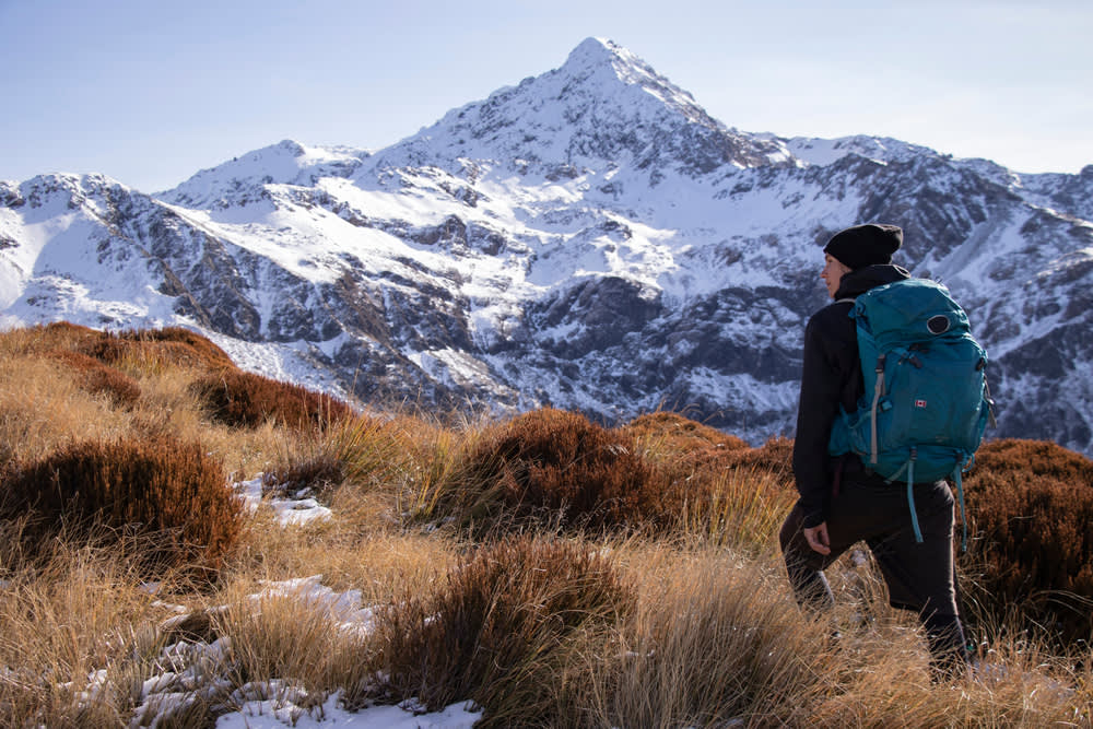 Mt Arthur New Zealand